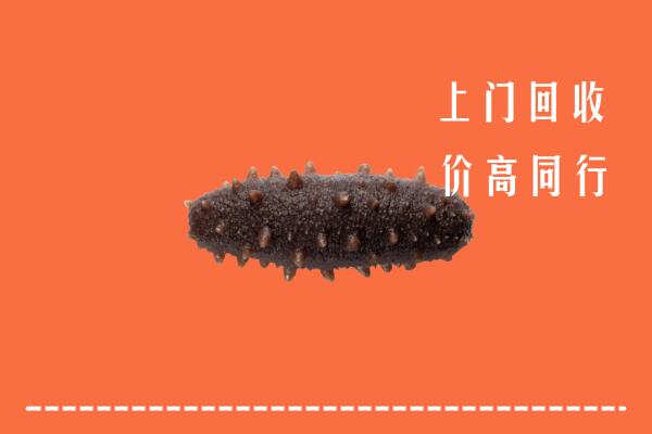 清江浦区回收海参