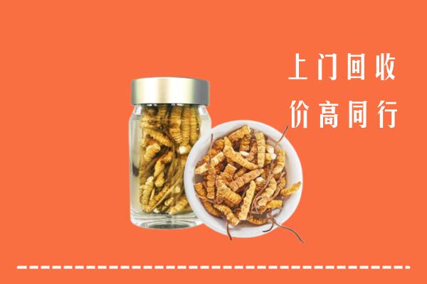 清江浦区回收冬虫夏草